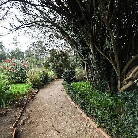 Quinta Da Flora *