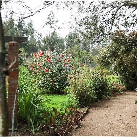 Quinta Da Flora Holiday home