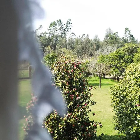 Quinta Da Flora Valega